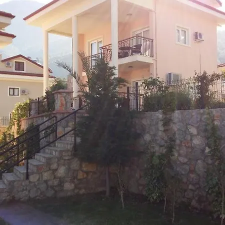 فيلة Korfez Dream *